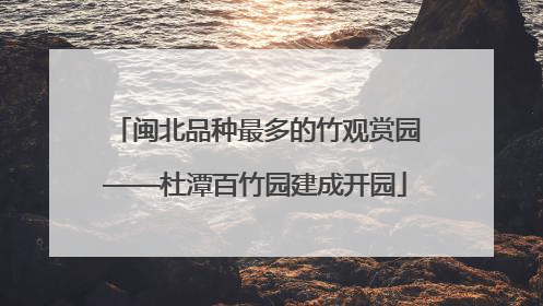 闽北品种最多的竹观赏园——杜潭百竹园建成开园