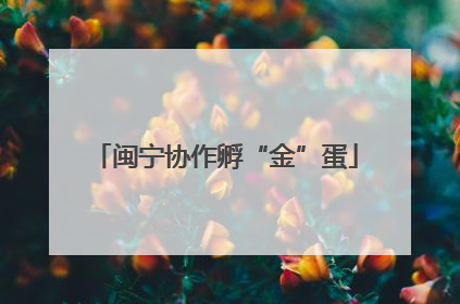 闽宁协作孵“金”蛋