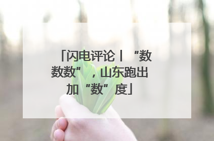 闪电评论丨“数数数”，山东跑出加“数”度