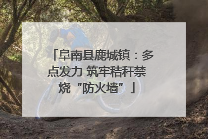 阜南县鹿城镇：多点发力 筑牢秸秆禁烧“防火墙”