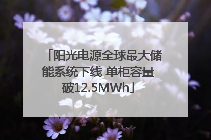 阳光电源全球最大储能系统下线 单柜容量破12.5MWh