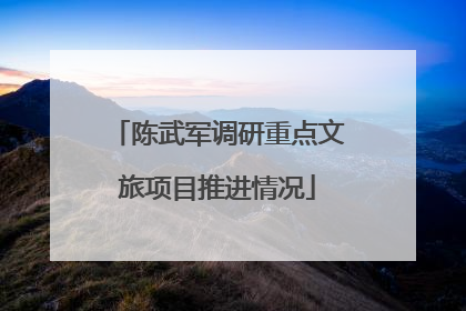 陈武军调研重点文旅项目推进情况