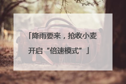 降雨要来，抢收小麦开启“倍速模式”