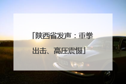陕西省发声：重拳出击、高压震慑