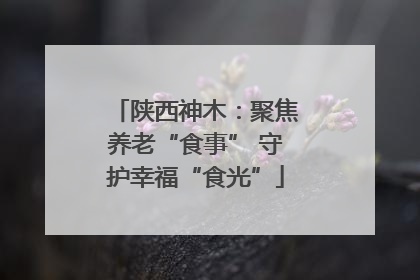 陕西神木：聚焦养老“食事” 守护幸福“食光”