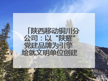 陕西移动铜川分公司：以“陕耀”党建品牌为引擎 绘就文明单位创建新画卷——全国文明单位创建纪实