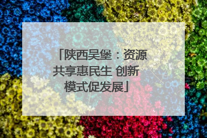 陕西吴堡：资源共享惠民生 创新模式促发展