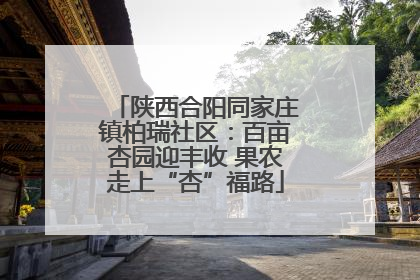 陕西合阳同家庄镇柏瑞社区：百亩杏园迎丰收 果农走上“杏”福路