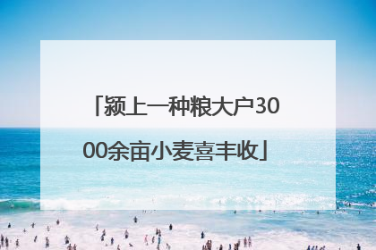 颍上一种粮大户3000余亩小麦喜丰收