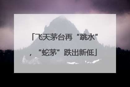 飞天茅台再“跳水”，“蛇茅”跌出新低