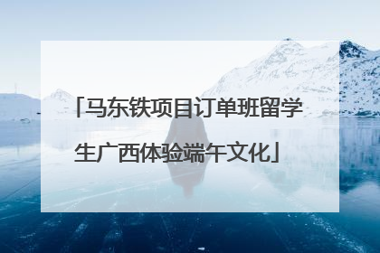 马东铁项目订单班留学生广西体验端午文化