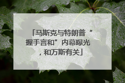 马斯克与特朗普“握手言和”内幕曝光，和万斯有关