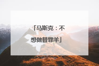 马斯克：不想做替罪羊