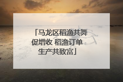 马龙区稻渔共舞促增收 稻渔订单生产共致富