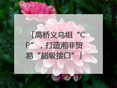 高桥义乌组“CP”，打造湘非贸易“超级接口”