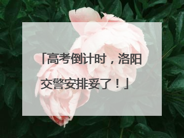 高考倒计时，洛阳交警安排妥了！