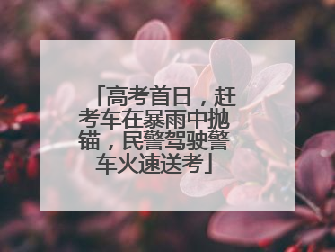 高考首日，赶考车在暴雨中抛锚，民警驾驶警车火速送考
