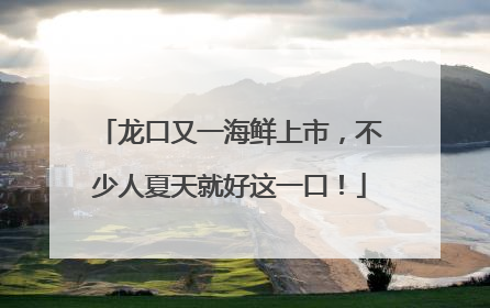 龙口又一海鲜上市，不少人夏天就好这一口！