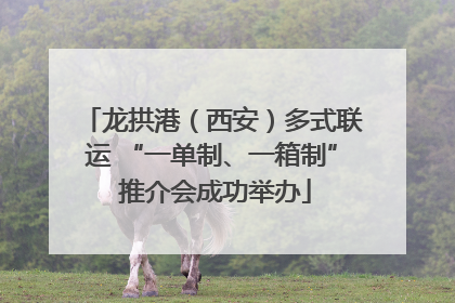 龙拱港（西安）多式联运 “一单制、一箱制” 推介会成功举办