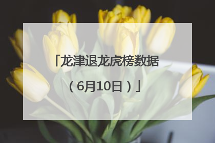 龙津退龙虎榜数据（6月10日）