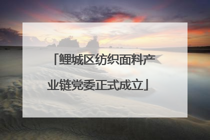 鲤城区纺织面料产业链党委正式成立