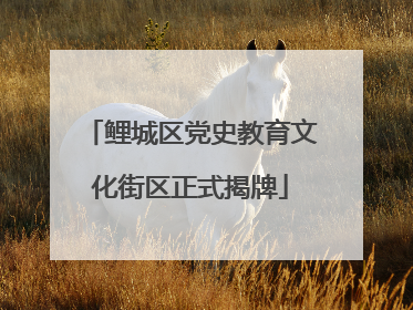 鲤城区党史教育文化街区正式揭牌