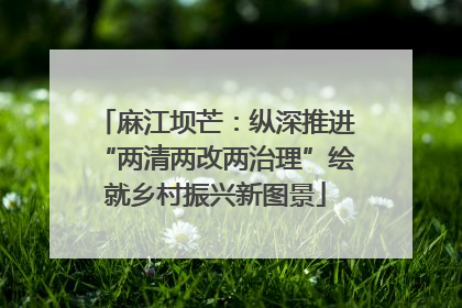 麻江坝芒：纵深推进“两清两改两治理”绘就乡村振兴新图景