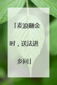 麦浪翻金时，送法进乡间