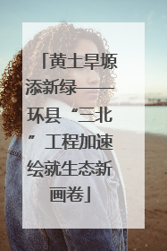 黄土旱塬添新绿——环县“三北”工程加速绘就生态新画卷