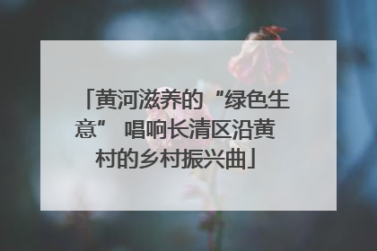 黄河滋养的“绿色生意” 唱响长清区沿黄村的乡村振兴曲