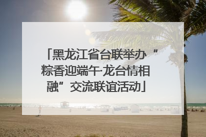 黑龙江省台联举办“粽香迎端午·龙台情相融”交流联谊活动