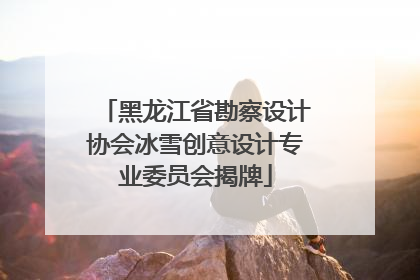 黑龙江省勘察设计协会冰雪创意设计专业委员会揭牌