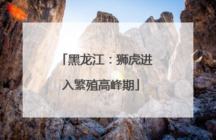 黑龙江：狮虎进入繁殖高峰期