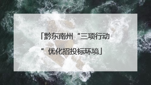 黔东南州“三项行动”优化招投标环境