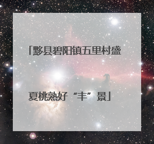 黟县碧阳镇五里村盛夏桃熟好“丰”景