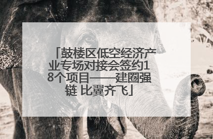 鼓楼区低空经济产业专场对接会签约18个项目——建圈强链 比翼齐飞