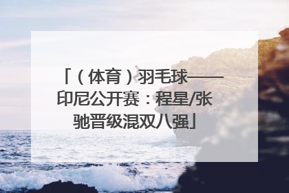 （体育）羽毛球——印尼公开赛：程星/张驰晋级混双八强