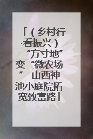 （乡村行·看振兴）“方寸地”变“微农场” 山西神池小庭院拓宽致富路