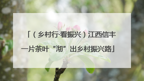 （乡村行·看振兴）江西信丰一片茶叶“沏”出乡村振兴路