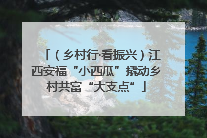 （乡村行·看振兴）江西安福“小西瓜”撬动乡村共富“大支点”
