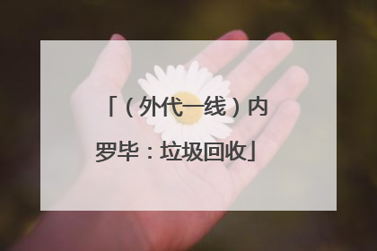 （外代一线）内罗毕：垃圾回收