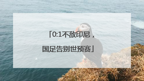 0:1不敌印尼，国足告别世预赛