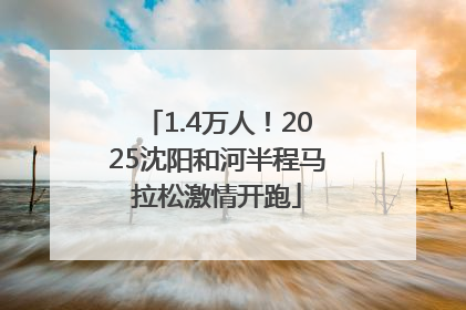 1.4万人！2025沈阳和河半程马拉松激情开跑