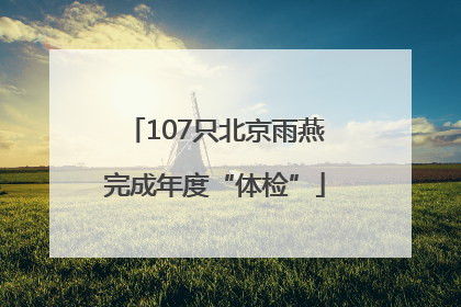 107只北京雨燕完成年度“体检”