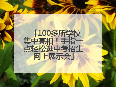 100多所学校集中亮相！手指一点轻松逛中考招生网上展示会