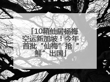 10箱仙居杨梅空运新加坡！今年首批“仙梅”抢“鲜”出国