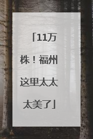 11万株！福州这里太太太美了