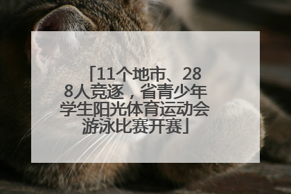 11个地市、288人竞逐，省青少年学生阳光体育运动会游泳比赛开赛