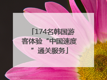 174名韩国游客体验“中国速度”通关服务