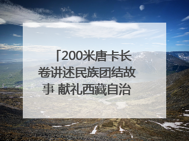 200米唐卡长卷讲述民族团结故事 献礼西藏自治区成立60周年